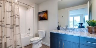 Broadstone Vin Gallery 8