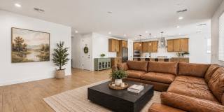 40234 N ALEGRE Drive Gallery 2