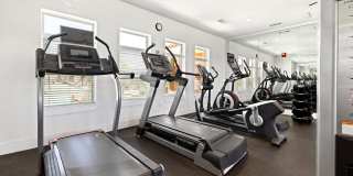 Sonoma Palms Gallery 18