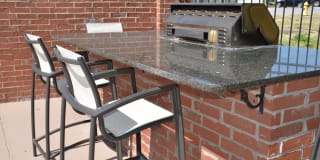 The Woods at Johnson Mill Gallery 9