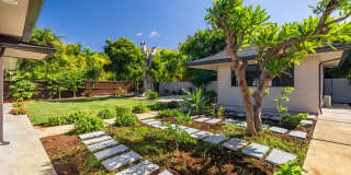 Kahala Zen: Spacious Modern Oasis w/ Studio, Garden & Lush Garden Gallery 58