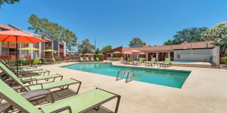 Spring Meadow Gallery 13