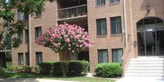 Large 2BR/1BA condo in gated community. Walking distance to Metro. Gallery 1