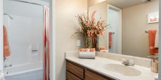 Camelback Cove Apartments Gallery 18