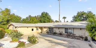 20520 Rhoda 20520 Rhoda Gallery 1
