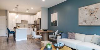 Aster at the Summit Gallery 3