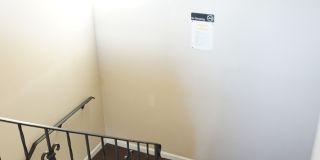 28-30 Sampson Street Gallery 19