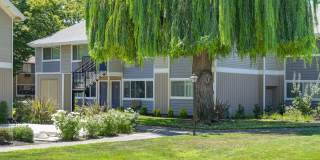 Pinecrest Apartments Gallery 13