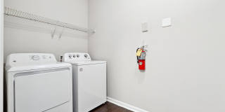 Tree Park Apartments Gallery 7