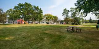 Birch Court Gallery 11