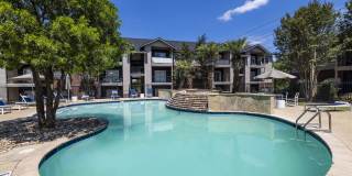 The Lynx The Lynx Gallery 8