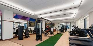 Trella Uptown Gallery 12