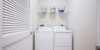 Jefferson Arbors at Broadlands Gallery 12