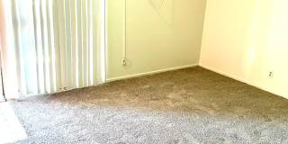 Studio Apartment on Las Vegas Strip - Close to all of the Excitement & More!! Gallery 75