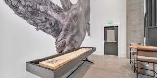 Alta West Morehead Gallery 42