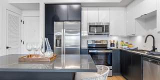 Tortoise One Gallery 3