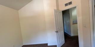 Great Home in Central Ft. Collins Gallery 16