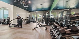 Bella Mirage Gallery 13