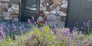 Cozy 2 Bedroom, 1 Bathroom Apartment in The Dalles Gallery 1