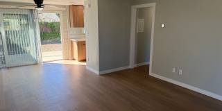 The Pines Apartments Gallery 3