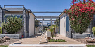 Rise Biltmore Gallery 64