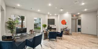 The Gibson Gallery 1