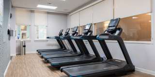 Miller and Rhoads Residences Gallery 46