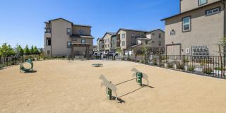 Homecoming at Kiley Ranch Gallery 20