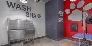 Student Housing - Vue on Walnut Gallery 14