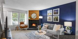 TGM Meadow View Gallery 50