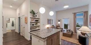 Alexan Quin Gallery 48