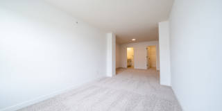 21618 Orchid Path Gallery 15