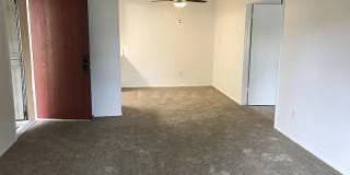 10202 Black Mountain Rd Apt 6 Gallery 5