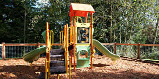 Lakemont Orchard Gallery 25