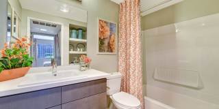 Park Pointe Gallery 14