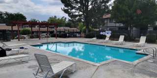 Dove Ridge Gallery 11