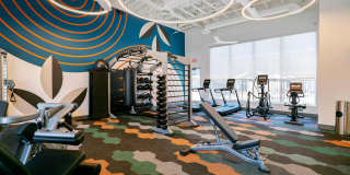 Horizon North Gallery 4