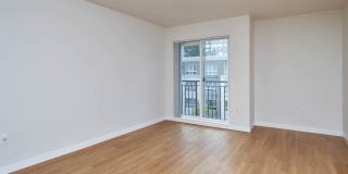 City Square Bellevue Gallery 11