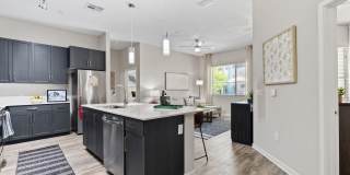 Axis Camelback Gallery 2