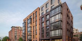 Collection 14 Gallery 23