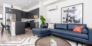 Alexan Main Street Gallery 22