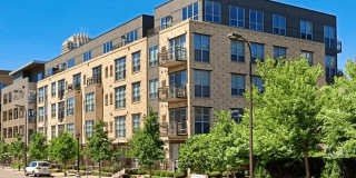 The Ellory Gallery 1