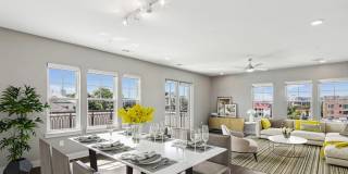 Society at Laurens Gallery 23