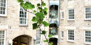 508 East 78th Street Gallery 10