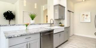 Beautifully Remodeled Citrus Park House Gallery 9