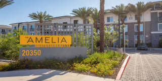 The Amelia Gallery 51