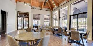 11073 Harbour Springs Circle Gallery 59