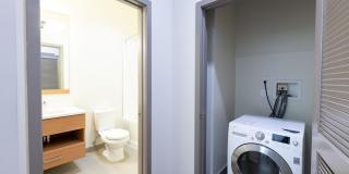 The Wilson Gallery 33