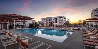 Luma at El Corazon Gallery 3