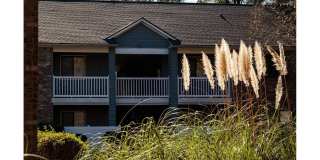 Plantation Flats Gallery 27